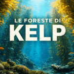 Viaggio nelle Foreste di Kelp: Architetture Sottomarine e Biodiversità